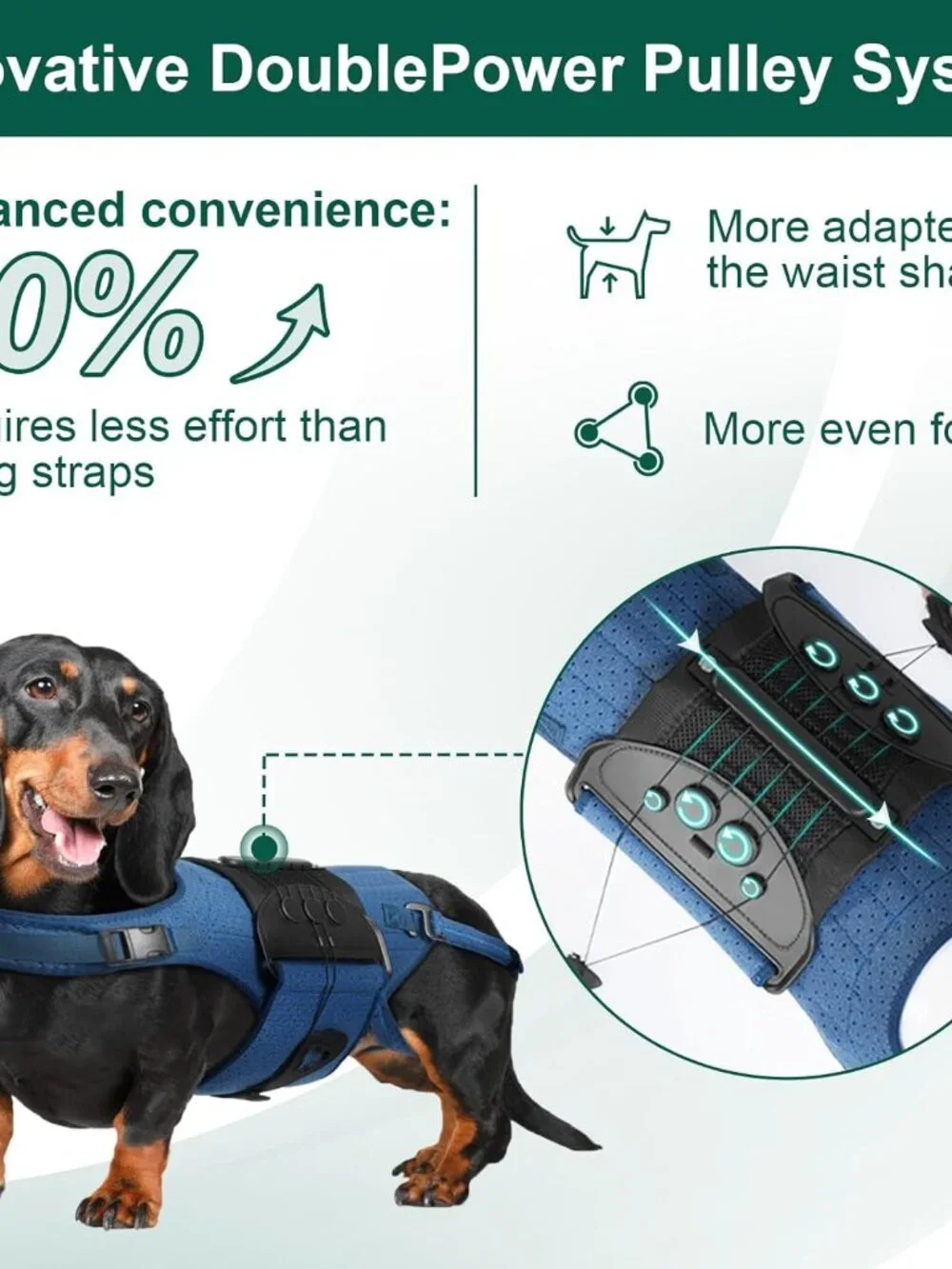 Dog Back Brace for IVDD, Arthritis, Slipped and Herniated Discs